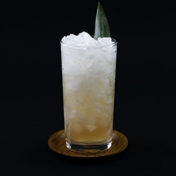 Pineapple Fizz cocktail photo